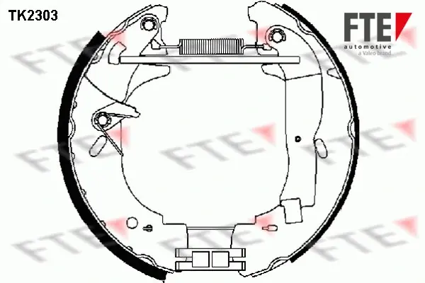 Комплект тормозных колодок FTE TK2303 (фото 1)