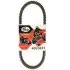 ремінь приводу колеса CF moto 800/850/100 (36x968) GATES 40G3691 - фото 1