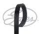 Ремінь полікліновий GATES 5PK788 (фото 1)