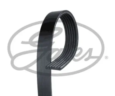 Ремінь полікліновий GATES 6PK1205XS