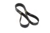 Ремінь полікліновий GATES 8PK1218 (фото 1)