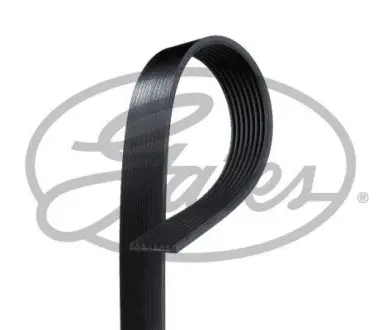 Ремінь полікліновий GATES 8PK1765ESXS