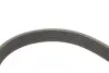 Комплект ременя генератора Citroen C3/C4/Peugeot 2008/208 1.4/1.6D 09- (6PK1020) GATES K016PK1020EST (фото 12)