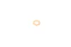 Ремкомплект форсунки Citroen Jumpy/Peugeot Expert 2.0 HDi 09- GAZO GZA1454 (фото 3)
