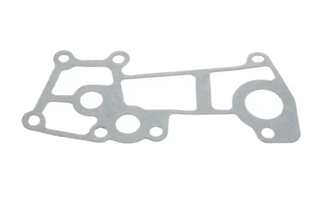 Прокладка радіатора масляного Citroen Jumper/Fiat Ducato/Iveco Daily 3.0 D 06- GAZO GZ-A1534