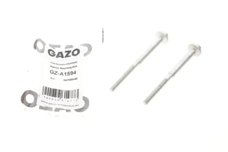 Болт кріплення форсунки Audi A3/Skoda Octavia/VW Golf VII 1.6 TDI 12- (2 шт) GAZO GZ-A1594
