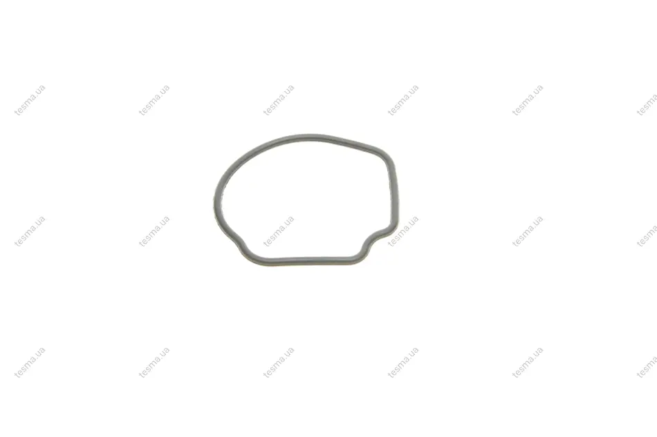 Прокладка термостата Opel Combo 1.3 CDTI 04-12 GAZO GZ-A1633 (фото 1)