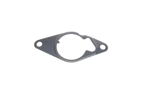 Прокладка насосу вакуумного Opel Astra H/J/Combo/Corsa D 1.3CDTI 05- GAZO GZ-A1798