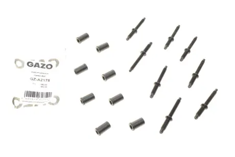 Болт кріплення форсунки Citroen Berlingo/Jumpy/Peugeot Expert/Partner 1.6 HDI 05- (к-кт 8 шт) GAZO GZ-A2178