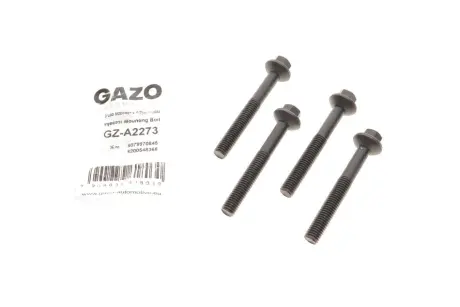 Болт кріплення форсунки Renault Kangoo/Laguna III/Megane II/Dokker 1.5 dCi 01- (+ кронштейн) GAZO GZ-A2273