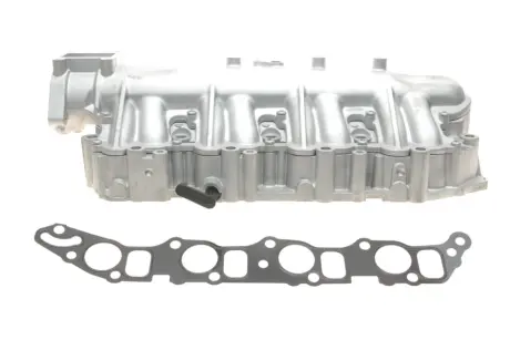 Колектор впускний Opel Astra H/Vectra C 1.9CDTI 04-10 (з прокладкою) GAZO GZ-E1078