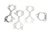 Колектор випускний BMW X5 (E53) 3.0d (M57) 00-07 (к-кт) GAZO GZ-E1277 (фото 4)