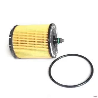 Oil filter, cartridge. Фильтр масляный, вставка GENERAL MOTORS 22685727