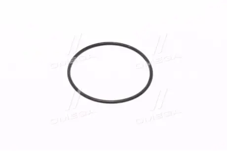 Кільце котушки запалювання GENERAL MOTORS 25190809