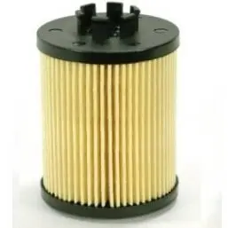 Oil filter, cartridge. Фильтр масляный, вставка GENERAL MOTORS 650307