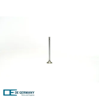 Випускний клапан MAN OE GERMANY 020520267603