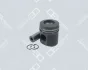 Поршень (діаметр 102мм) DEUTZ FAHR 4.61, 4.68, 4.71, 4.78, 6.50, 7.10, 6.60 OE GERMANY 040320913001 (фото 1)