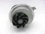 Water pump. Насос системы охлаждения GMB GWDW12A (фото 2)