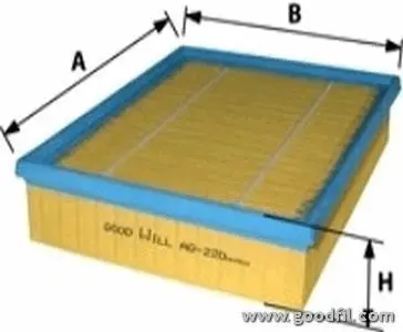Воздушный GOODWILL AG220