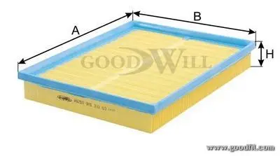 Воздушный GOODWILL AG250 (фото 1)
