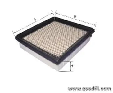 Воздушный GOODWILL AG528