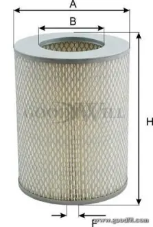 Воздушный GOODWILL AG550