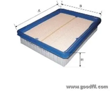 Воздушный GOODWILL AG611