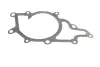 Water Pump. Насос водяний GRAF PA1059 (фото 10)