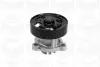 Water Pump. Насос водяний GRAF PA1070 (фото 1)
