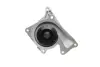 Water Pump. Насос водяний GRAF PA1091 (фото 4)