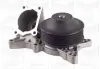 Water Pump. Насос водяний GRAF PA1116 (фото 1)