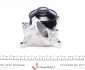 Water Pump. Насос водяний GRAF PA1116 (фото 4)