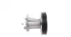 Water Pump. Насос водяний GRAF PA1128 (фото 3)