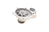 Water Pump. Насос водяний GRAF PA1145 (фото 6)