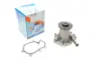Water Pump. Насос водяний GRAF PA1190 (фото 1)