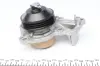 Water Pump. Насос водяний GRAF PA1239 (фото 3)