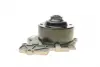 Water Pump. Насос водяний GRAF PA1278 (фото 3)