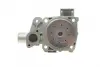 Water Pump. Насос водяний GRAF PA178 (фото 2)