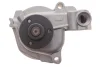 Water Pump. Насос водяний GRAF PA278 (фото 6)