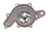 Water Pump. Насос водяний GRAF PA819 (фото 4)