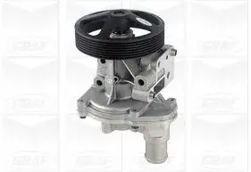 Water Pump. Насос водяний GRAF PA832