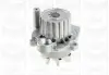 Water Pump. Насос водяний GRAF PA875