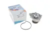 Water Pump. Насос водяний GRAF PA978 (фото 1)