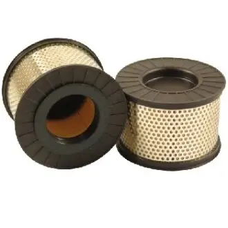 Air filter, primary. Фильтр воздушный, основной HATZ 01391800