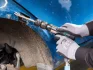 пневматичний ударний молоток, 2600 уд./хв., розмір з\'єднання: 1/4 дюйм HAZET 9035H6 - фото 2