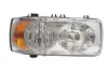 Фара автомобільна HELLA PAGID 1EJ 247 046-041 (фото 1)