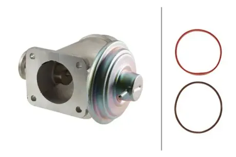 HELLA BMW Клапан EGR 3 E46/90,5 E60,7 E65,X5 E53 3.0d HELLA PAGID 6NU010171921