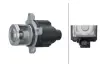 HELLA VW Клапан EGR Audi A4/5/6, Q7, Touareg 3.0/6.0TDI 04- HELLA PAGID 6NU014864631 (фото 1)