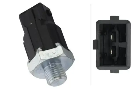 Ignition knock sensor. Датчик детонации HELLA PAGID 6PG009108881