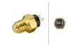 Coolant temperature sensor. Датчик температуры охлаждающей жидкости HELLA PAGID 6PT009309531 (фото 1)